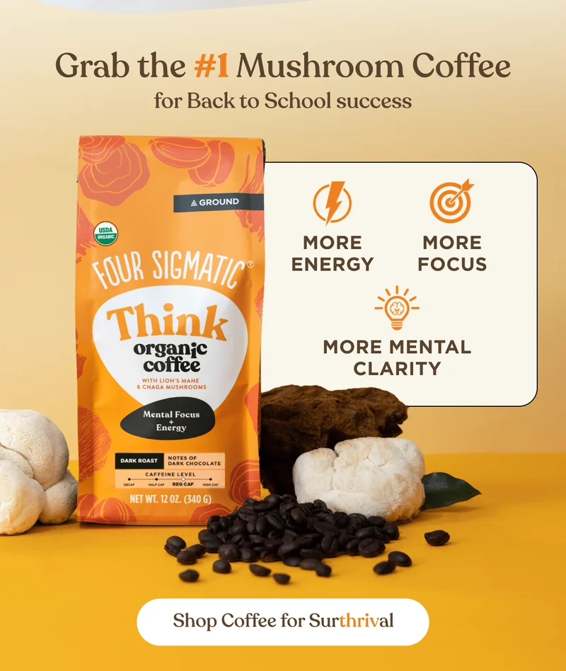 Grab the #1 Mushroom Coffee for back to school sucess | Shop coffee for surthrival