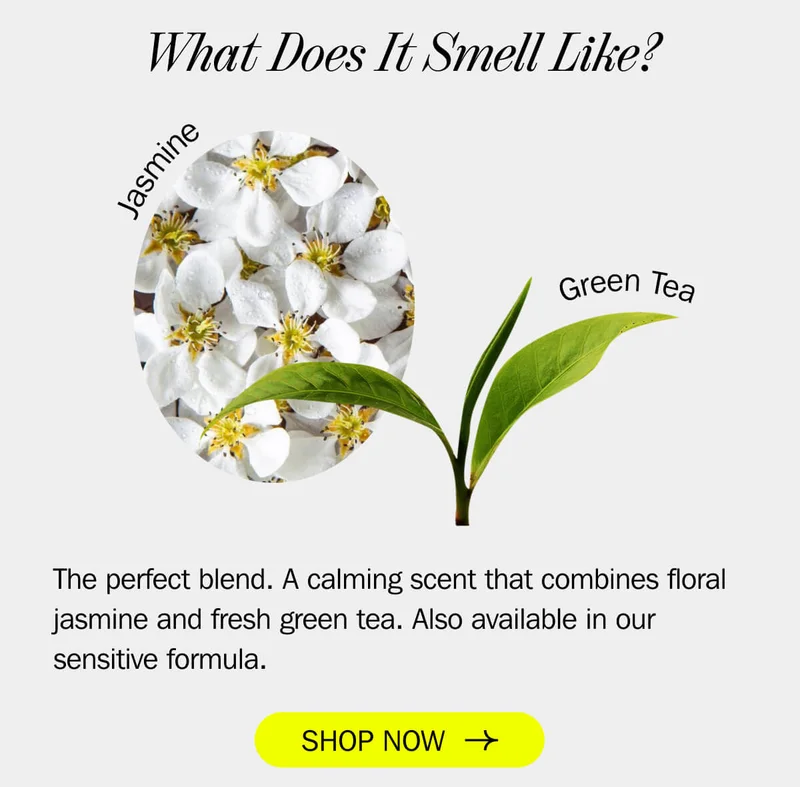 Scent Notes