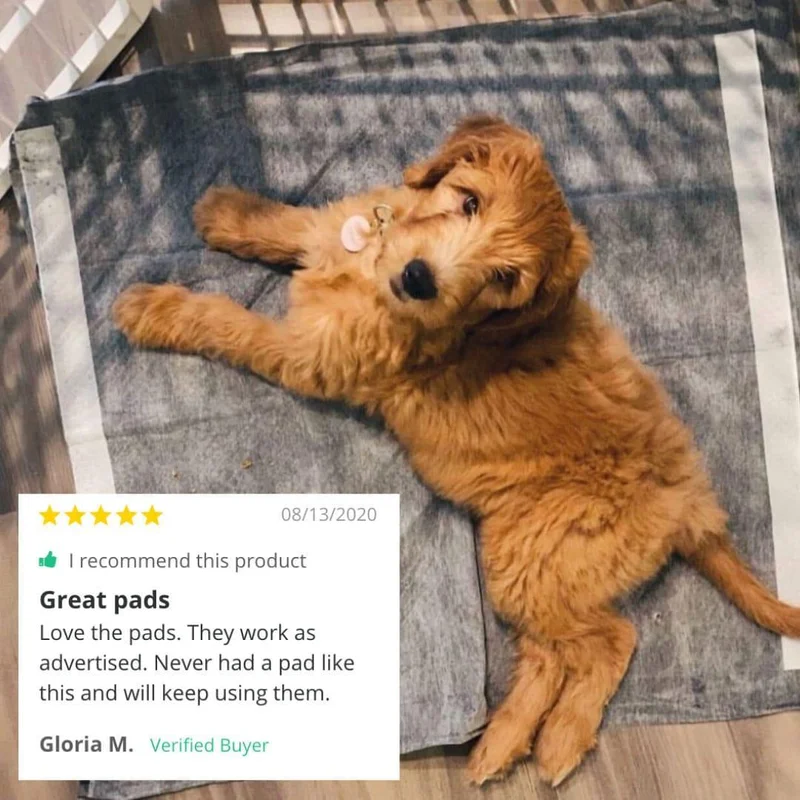 Magic Pads