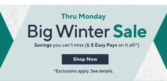 big winter sale