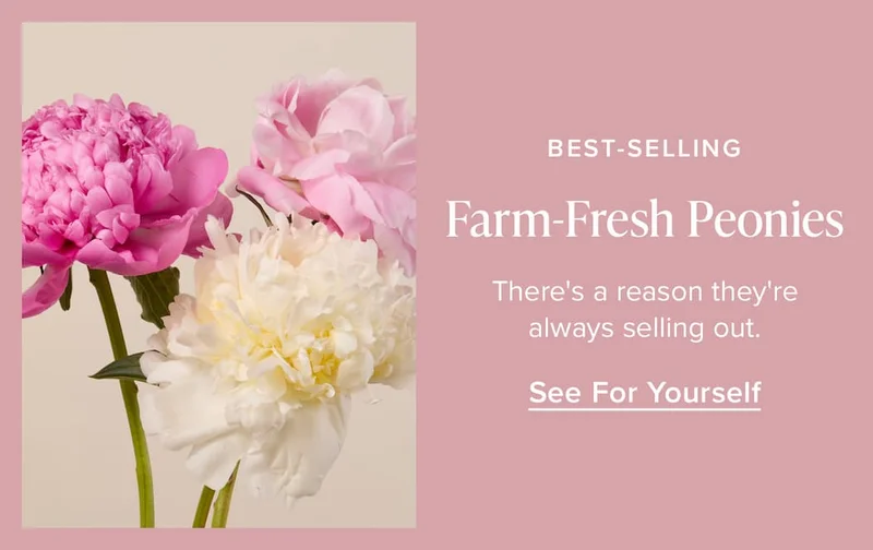 Best-selling: Farm-Fresh Peonies. There's a reason they're always selling out. See For Yourself.