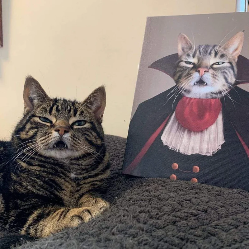Image of The Vampire - Custom Pet Canvas