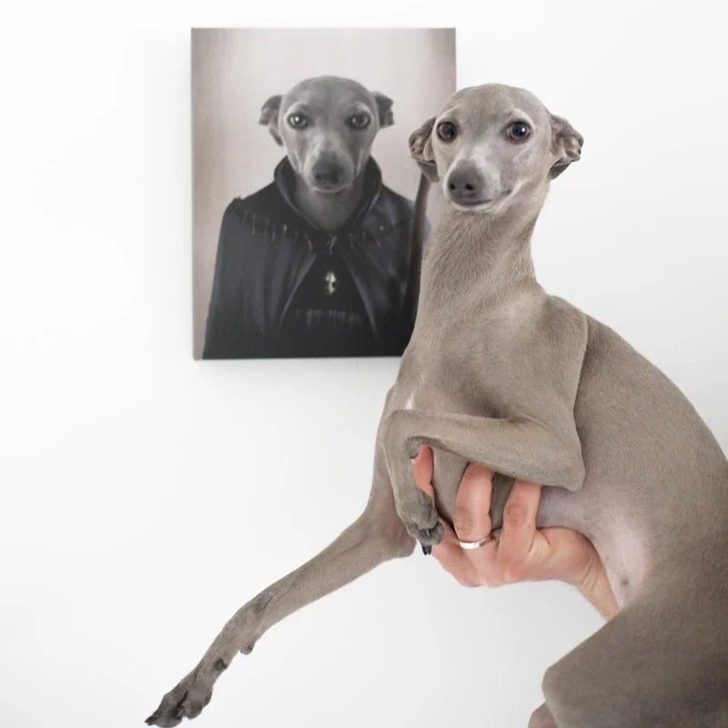 Image of The Witch - Custom Pet Canvas