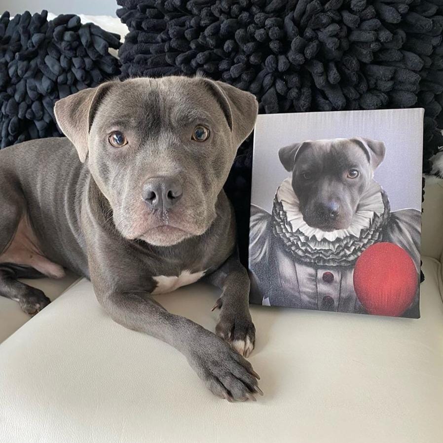 Image of The Pennywise - Custom Pet Canvas