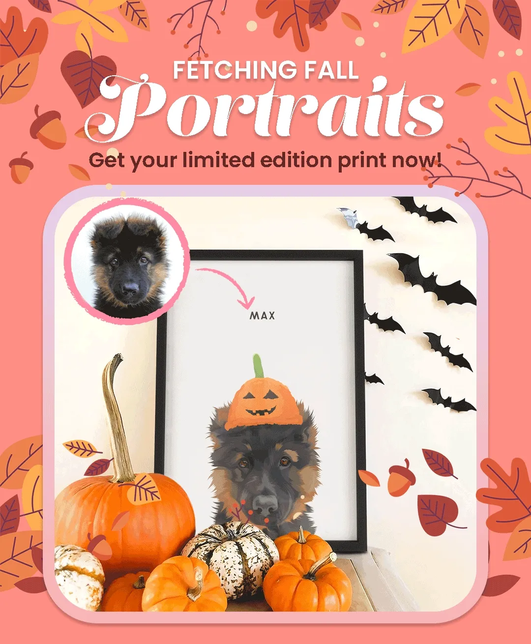 Fatching Fall portraits. Get your limited edition print now.