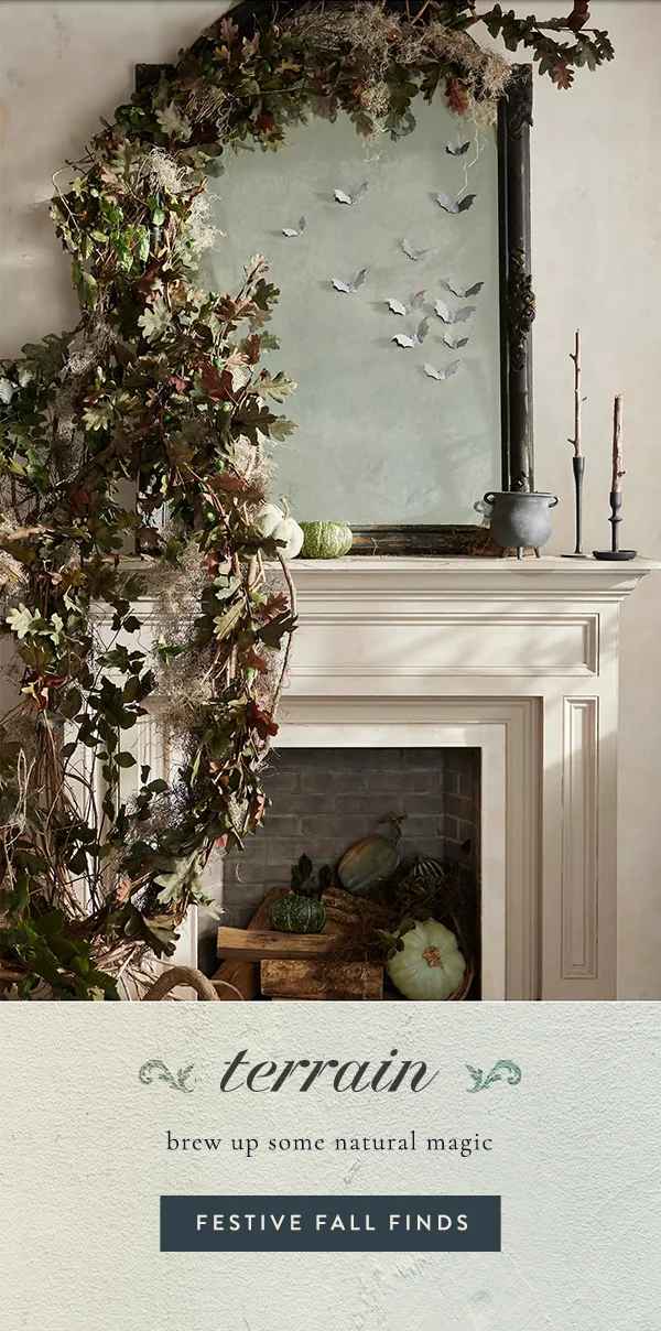 Shop Terrain fall finds