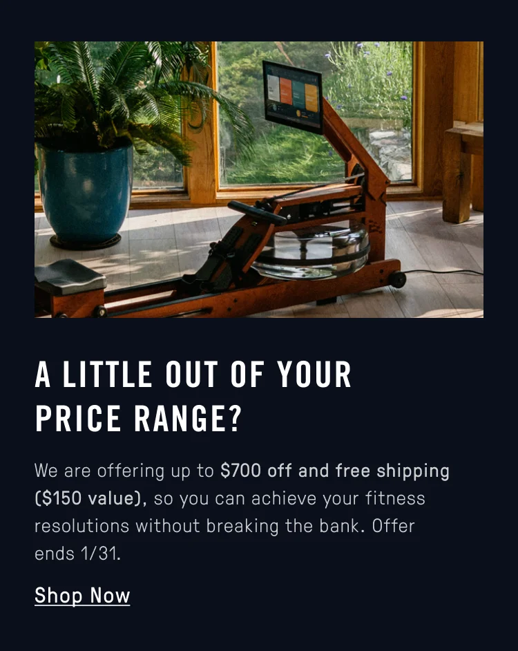 New Year's Discount + free shipping