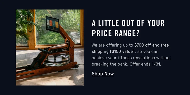 New Year's Discount + free shipping