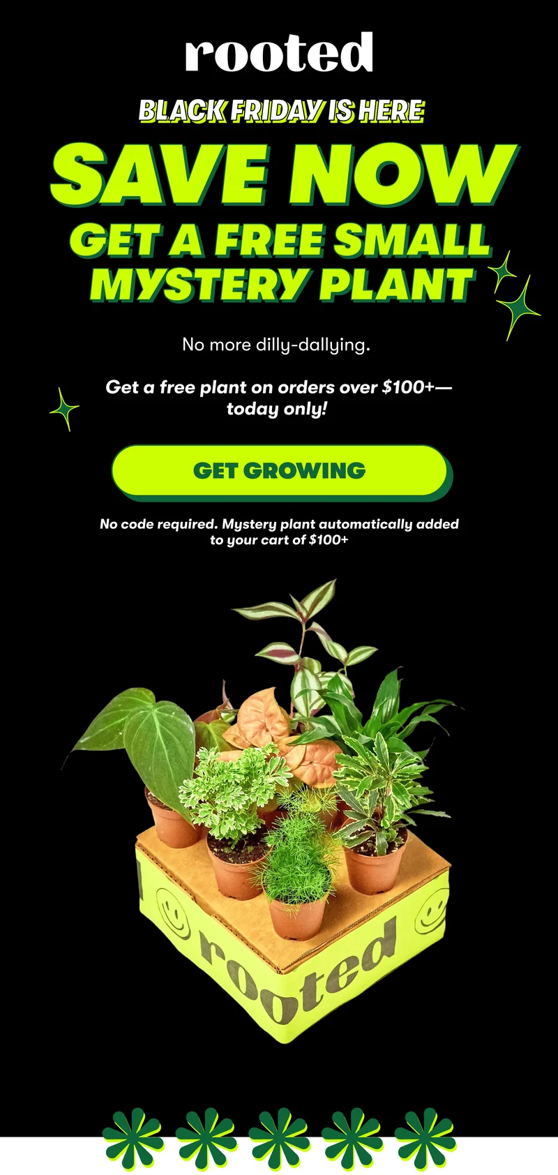 black friday is here GET A free small mystery plant No more dilly-dallying.   Get a free plant on orders over $100+—today only!&nbsp;  [GET GROWING]  No code required. Mystery plant automatically added to your cart of $100+