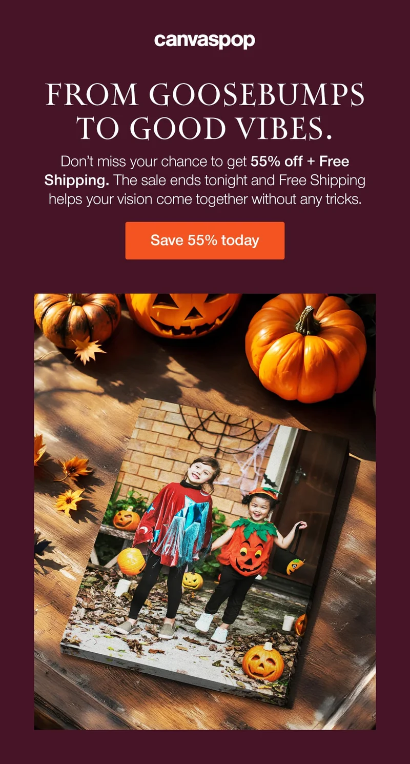 From goosebumps to good vibes. Don't miss your chance to get 55% off + Free Shipping. The sale ends tonight and Free Shipping helps your vision come together without any tricks.