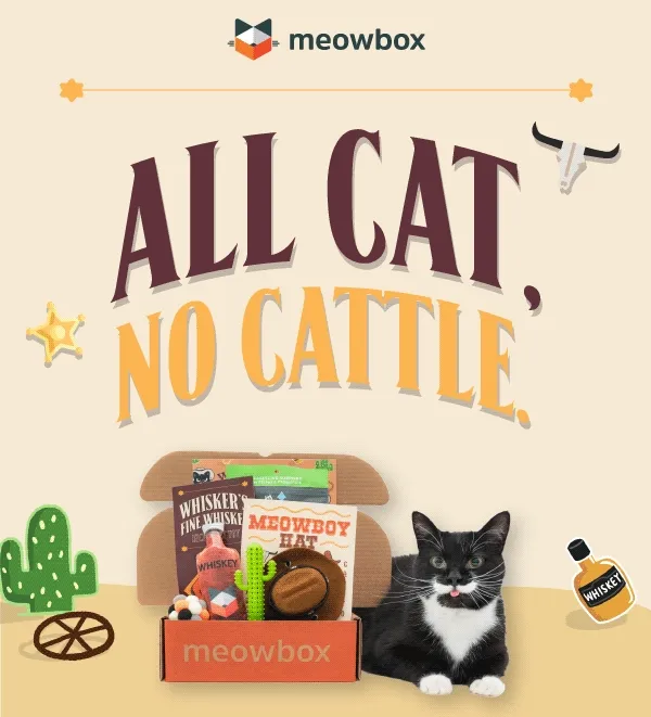 All Cat, No Cattle! Image of a black and white cat sitting next to the Western Tails meowbox (featuring toys like the Meowboy Hat Wearable, Whisker's Fine Whiskey, Chewy Catcus Dental Toy and more)