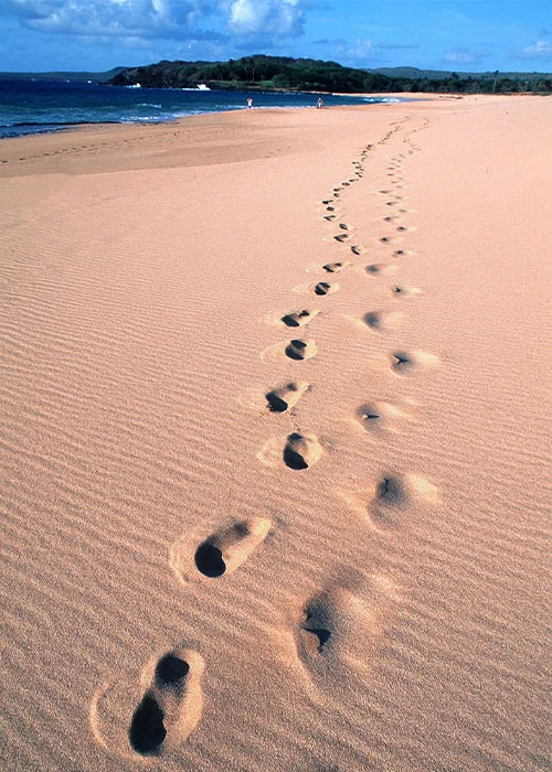 A team of researchers in Australia recently found that regular walking may not only alleviate lower back pain, but also help prevent the pain from returning.