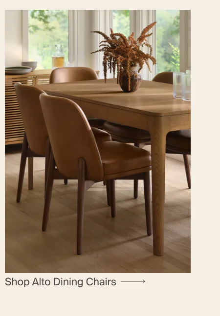 Alto Dining Chairs (Set of 2)