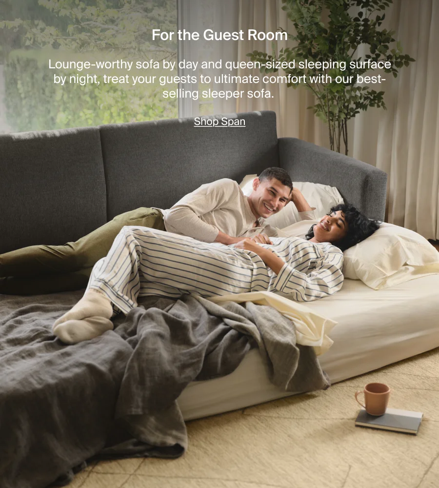 Span Sleeper Sofa