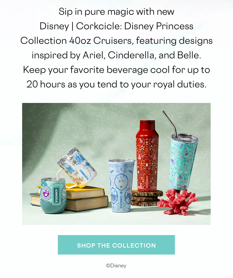 Shop the NEW Disney Princess Cruisers!
