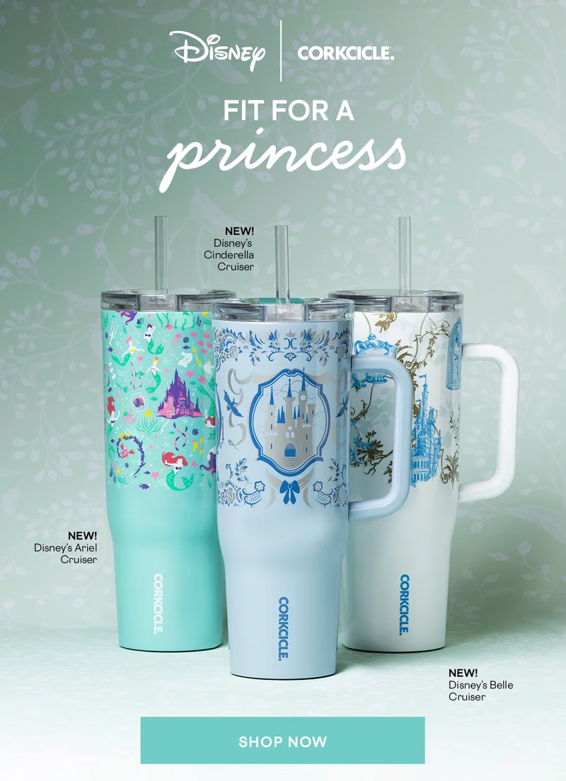 Shop the NEW Disney Princess Cruisers!