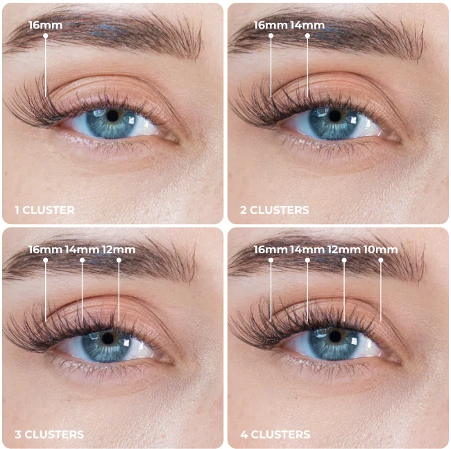 Comparison guide showing 1, 2, 3, and 4 Lady Lash Clusters applied to eye with length measurements from 10mm to 16mm