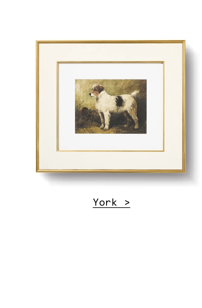 York