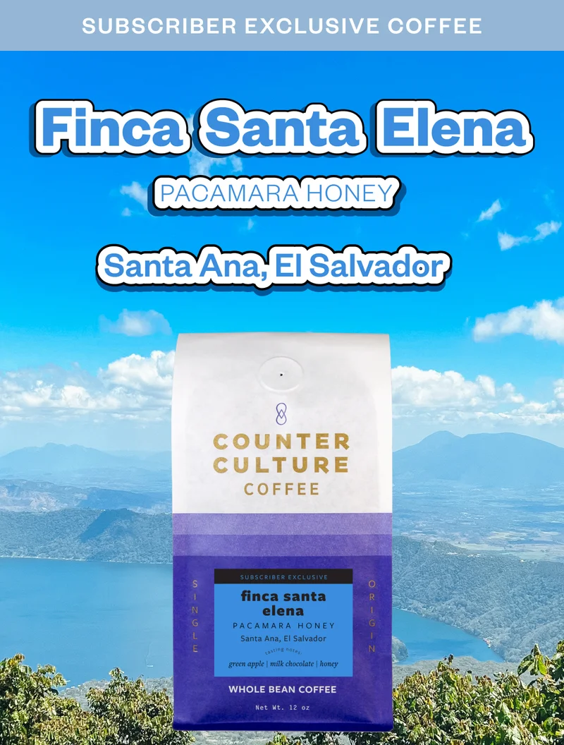 Subscriber exclusive coffee Finca Santa Elena Santa Ana, El Salvador