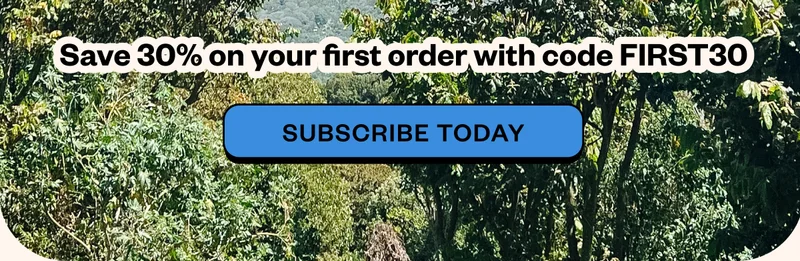 Save 30% on your first order, with code FIRST30