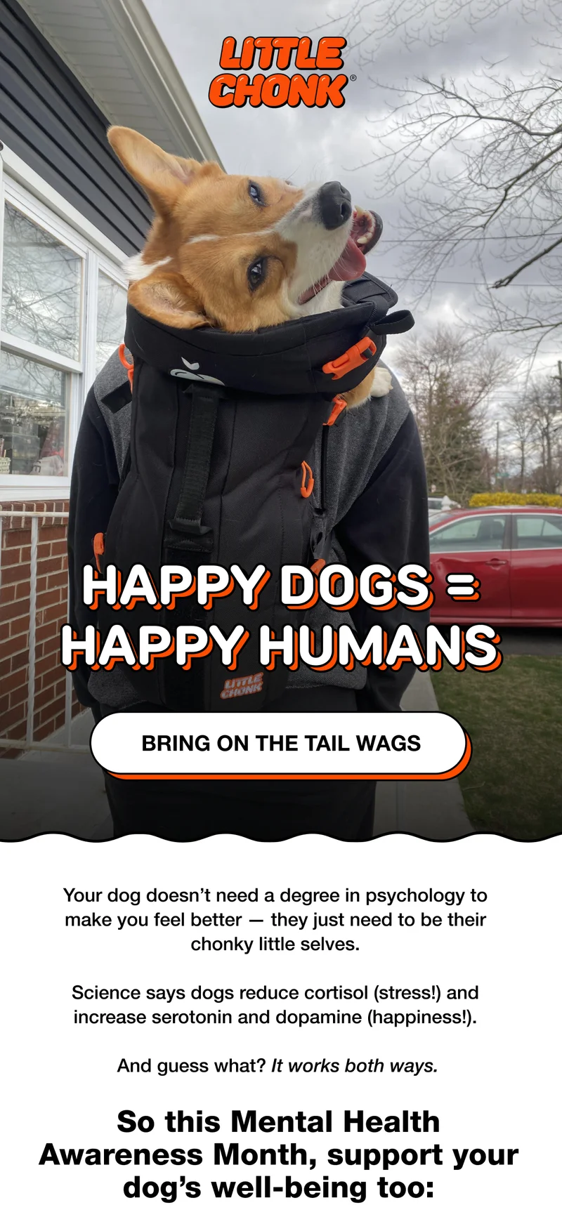 Happy dogs = happy humans