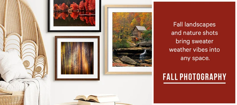 Fall landscapes and nature shots bring sweater weather vibes into any space. - Shop Fall Photography