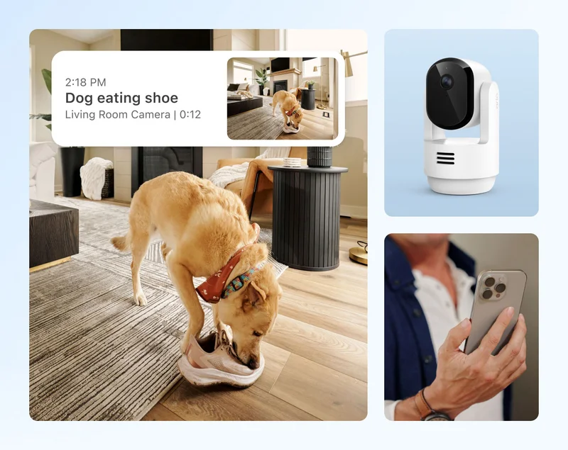 Image of dog chewing on a shoe with a simulated screen image of an Arlo Secure feed event that reads: 2:18 PM, dog eating shoe, living room camera, 0:12. Essential Indoor Pan Tilt Camera next to an image of someone's hand holding a phone.