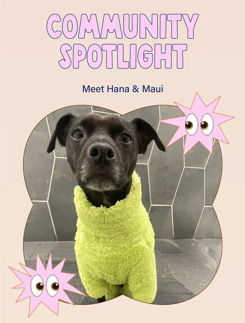 Community Spotlight: Meet Hana & Maui