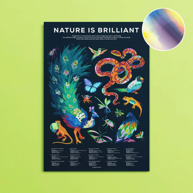 Image of Iridescent Animals Poster