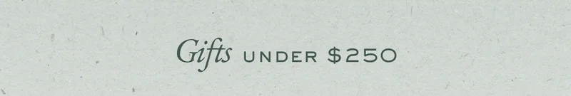 Gifts under $250