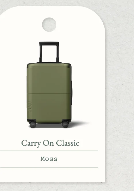 Carry On with CaseSafe Moss
