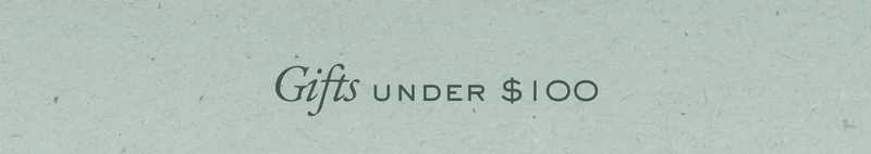 Gifts for under $100