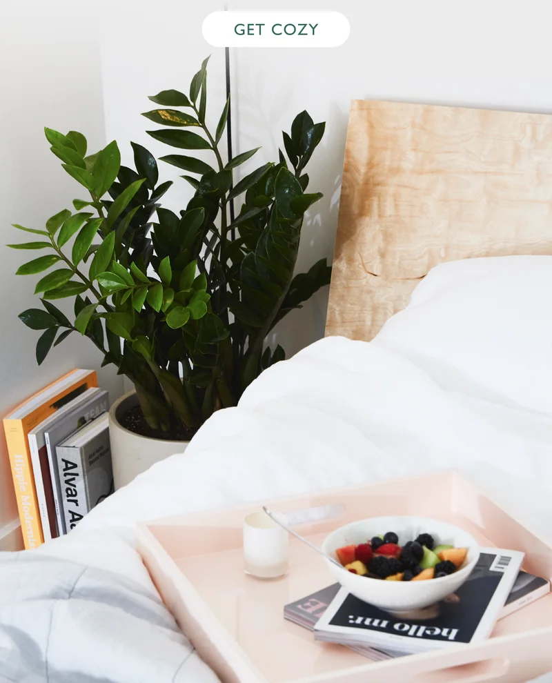 Get cozy with easy-care plants!