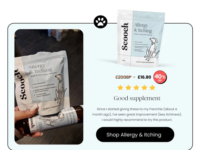 Allergy and Itching
