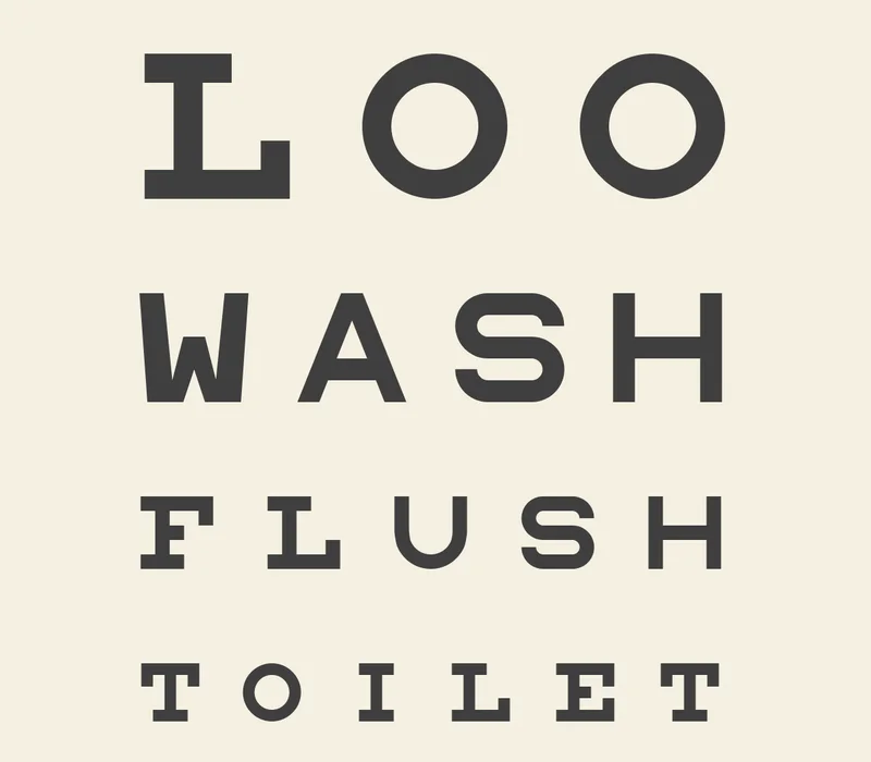 LOO WASH FLUSH TOILET