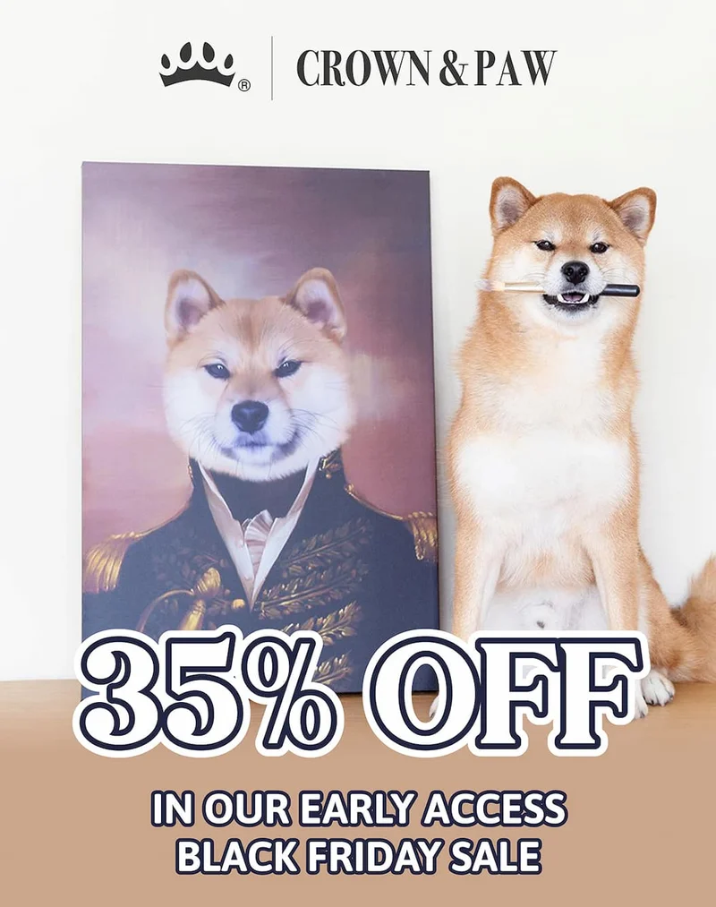 35% OFF in our VIP Black Friday early access sale