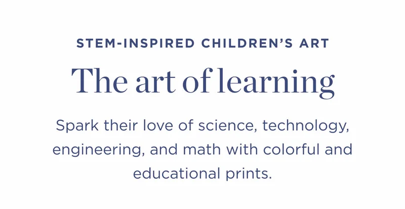 The Art of Learning