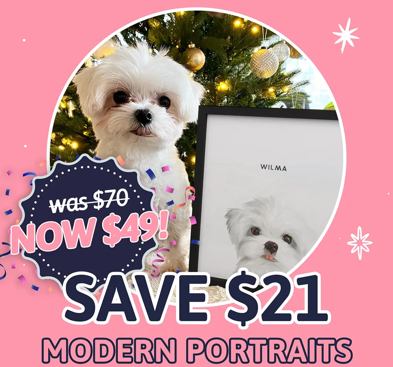 Modern Pet Portraits. was $70, NOW $49. SAVE $21 in our Black Friday Sale