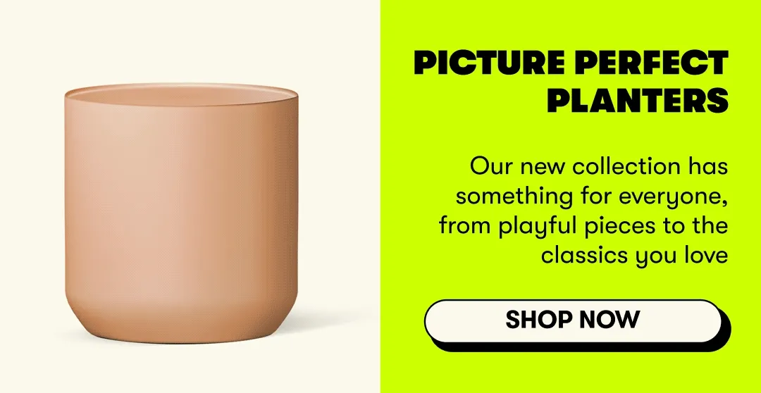 Picture Perfect Planters Our new collection has something for everyone, from playful pieces to the classics you love  [SHOP NOW ]