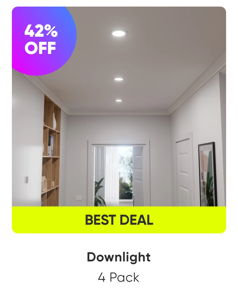 Downlight 4 Pack