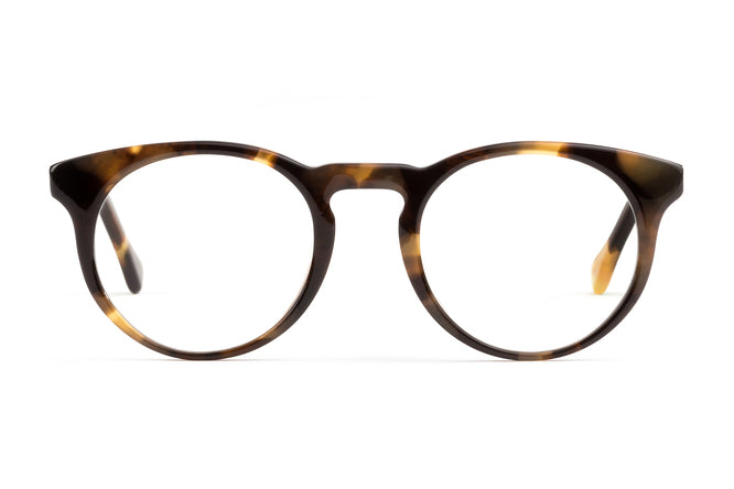 Image of Turing - Whiskey Tortoise