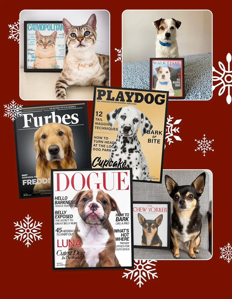 Collage of customer photos and mock ups of magazine cover posters