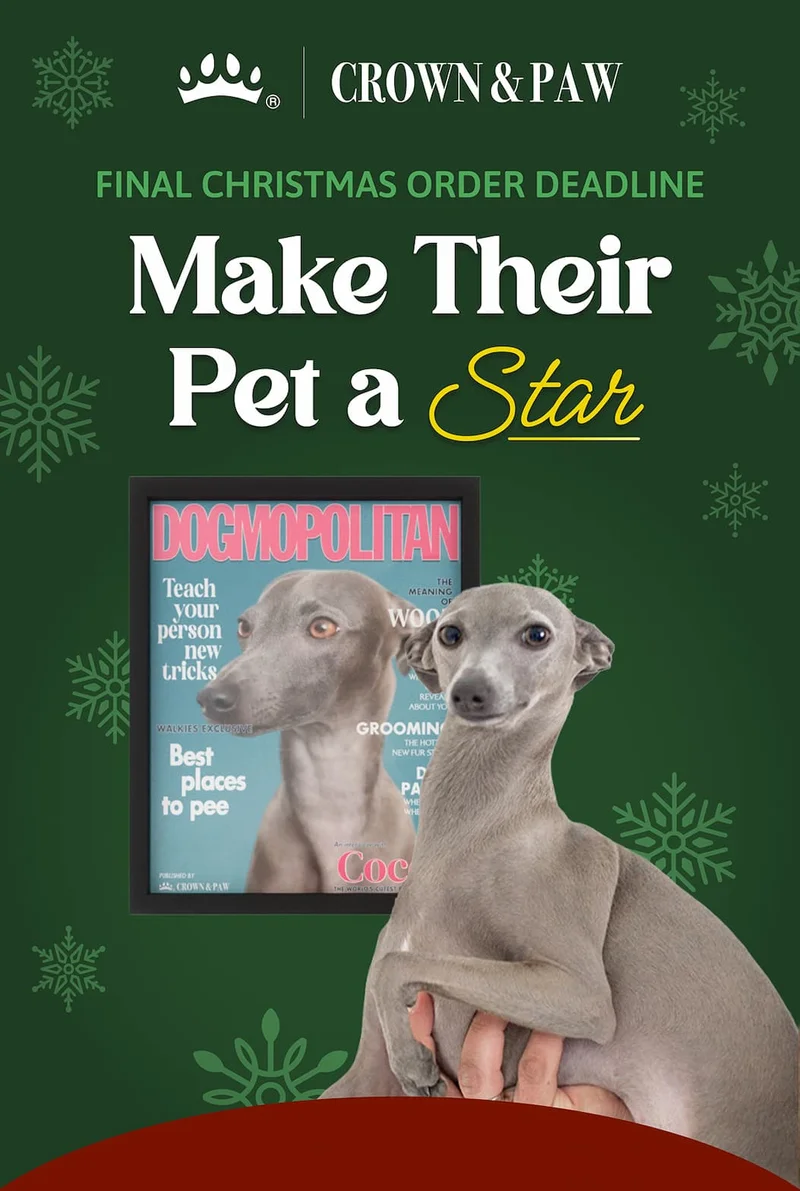 FINAL CHRISTMAS ORDER DEADLINE | Make Their Pet a Star