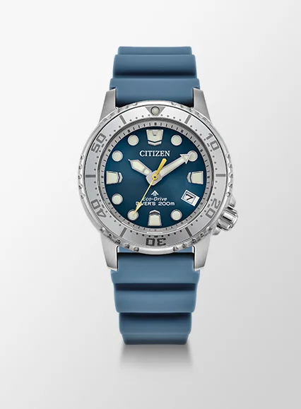Promaster Dive
