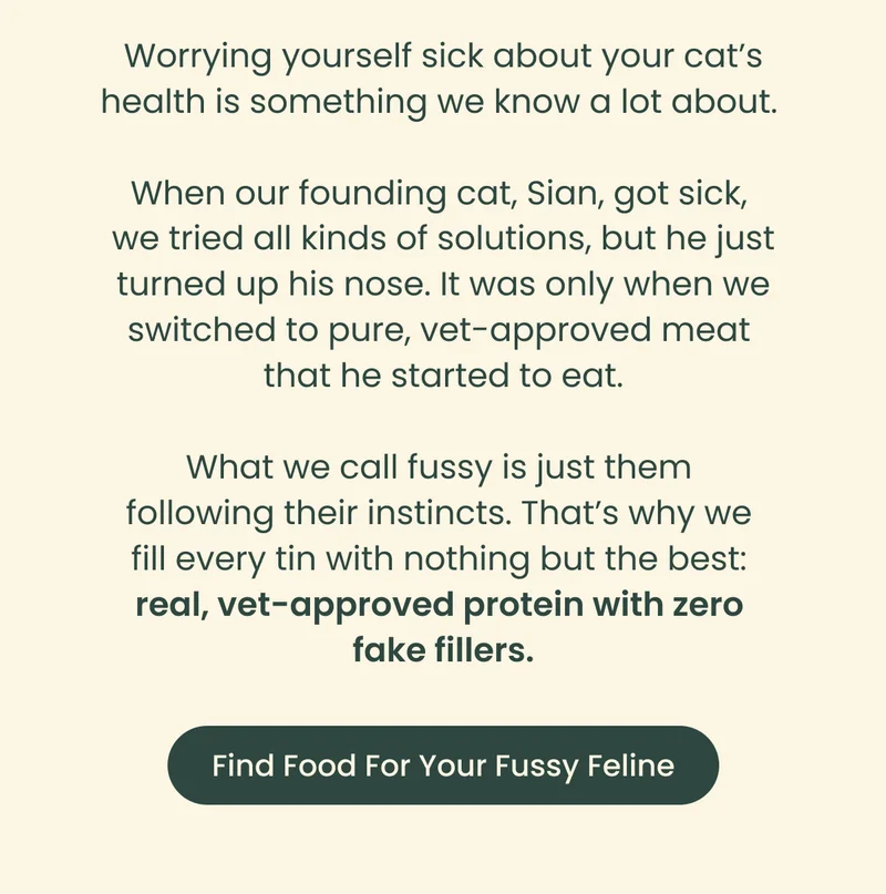Find Food For Your Fussy Feline