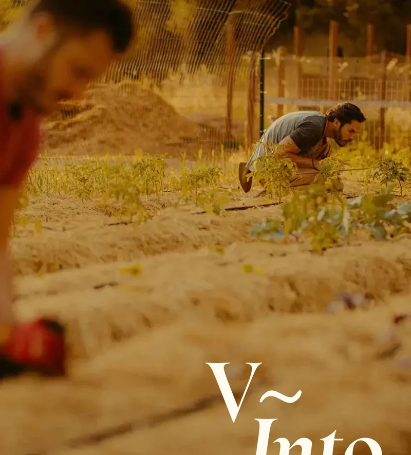 V~Into
