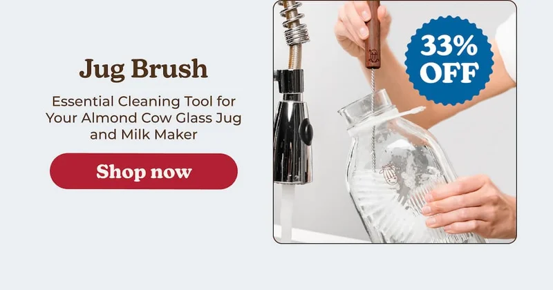 Shop Jug Brush