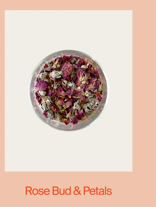 Rose, Bud & Petals