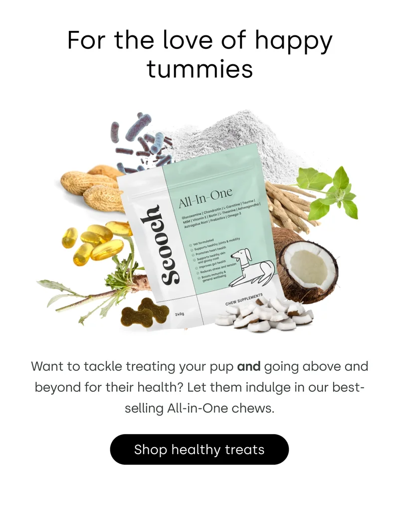 For the love of happy tummies - Shop healthy treats