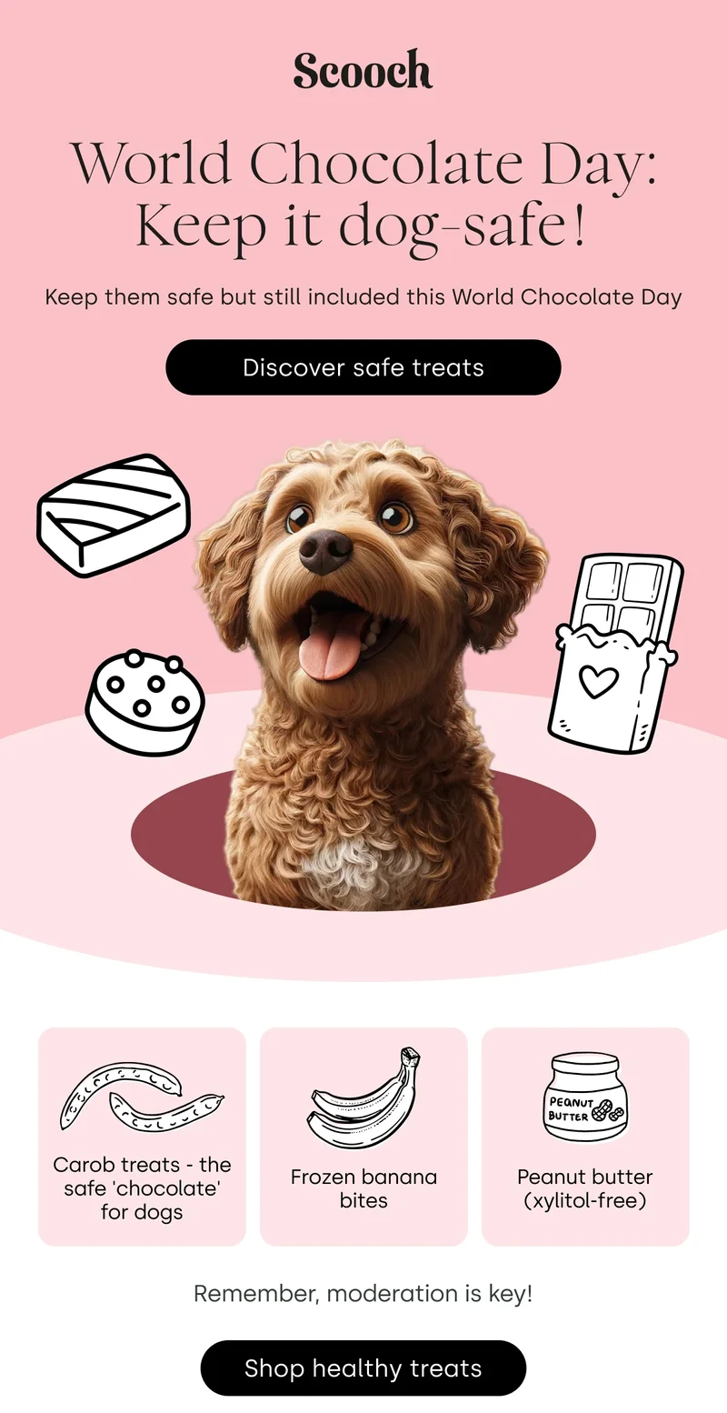 Keep them safe but still included this World Chocolate Day - Discover Safe Treats